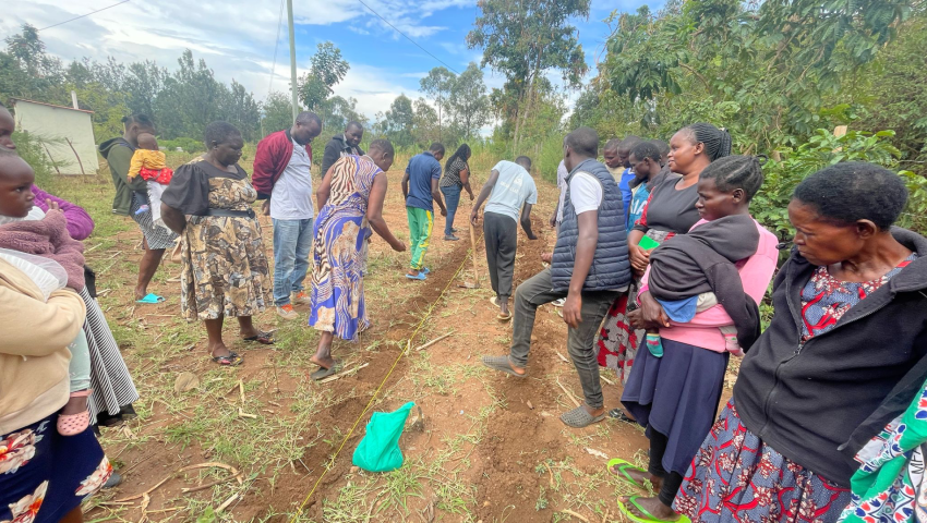 Community Collaboration