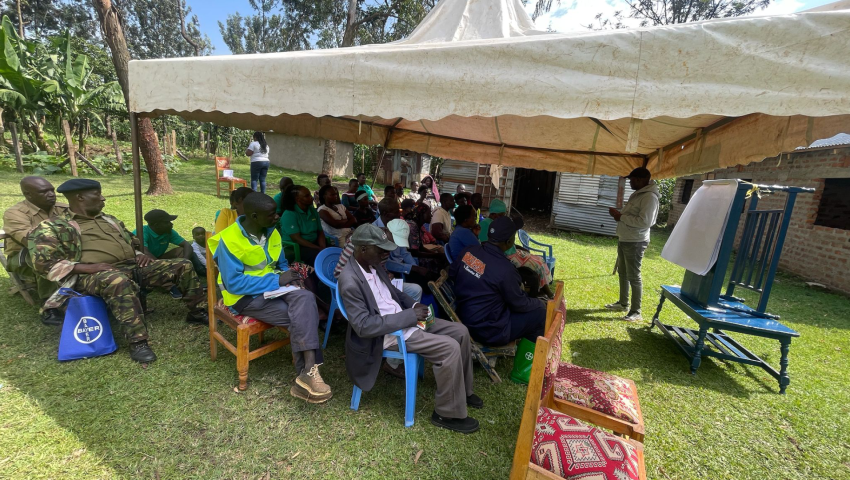 Digital Skills & Economic Empowerment